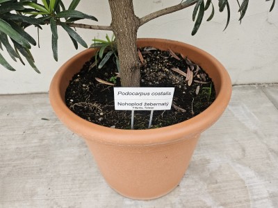 2026 Setkání členů UBZ ČR - botanické družení Liberec (17.-19.8.)