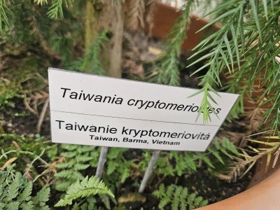 2026 Setkání členů UBZ ČR - botanické družení Liberec (17.-19.8.)