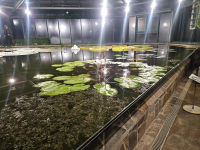 2026 Setkání členů UBZ ČR - botanické družení Liberec (17.-19.8.)