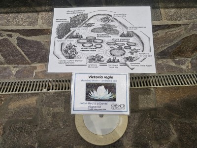 2026 Setkání členů UBZ ČR - botanické družení Liberec (17.-19.8.)