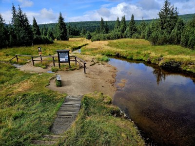 2026 Setkání členů UBZ ČR - botanické družení Liberec (17.-19.8.)