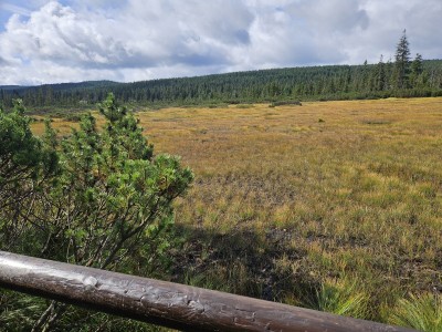 2026 Setkání členů UBZ ČR - botanické družení Liberec (17.-19.8.)
