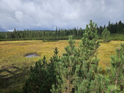2026 Setkání členů UBZ ČR - botanické družení Liberec (17.-19.8.)
