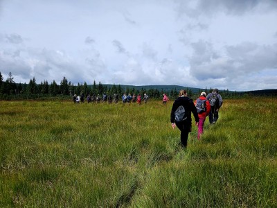 2026 Setkání členů UBZ ČR - botanické družení Liberec (17.-19.8.)