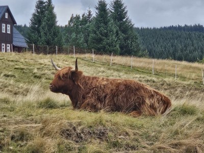 2026 Setkání členů UBZ ČR - botanické družení Liberec (17.-19.8.)