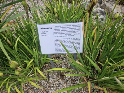 2026 Setkání členů UBZ ČR - botanické družení Liberec (17.-19.8.)