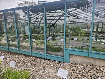 2026 Setkání členů UBZ ČR - botanické družení Liberec (17.-19.8.)