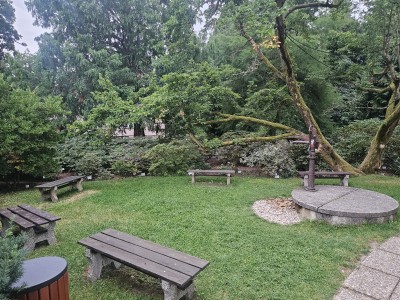 2026 Setkání členů UBZ ČR - botanické družení Liberec (17.-19.8.)