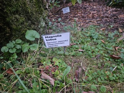 2026 Setkání členů UBZ ČR - botanické družení Liberec (17.-19.8.)