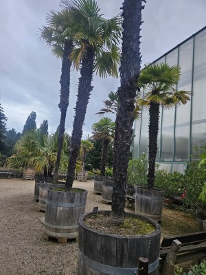 2026 Setkání členů UBZ ČR - botanické družení Liberec (17.-19.8.)