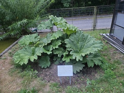 2026 Setkání členů UBZ ČR - botanické družení Liberec (17.-19.8.)