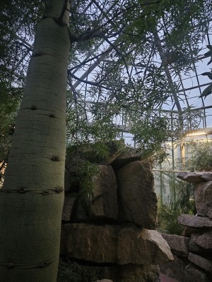 2026 Setkání členů UBZ ČR - botanické družení Liberec (17.-19.8.)