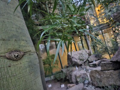 2026 Setkání členů UBZ ČR - botanické družení Liberec (17.-19.8.)