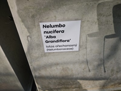 2026 Setkání členů UBZ ČR - botanické družení Liberec (17.-19.8.)