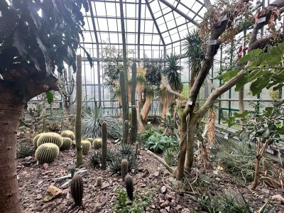 2026 Setkání členů UBZ ČR - botanické družení Liberec (17.-19.8.)