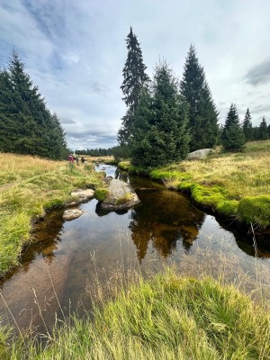 2026 Setkání členů UBZ ČR - botanické družení Liberec (17.-19.8.)