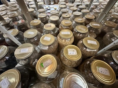2026 Setkání členů UBZ ČR - botanické družení Liberec (17.-19.8.)