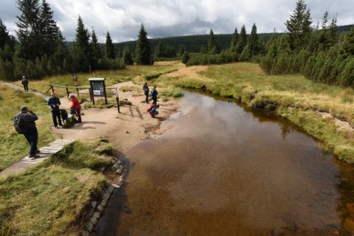 2026 Setkání členů UBZ ČR - botanické družení Liberec (17.-19.8.)