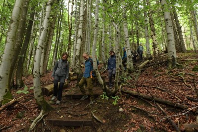 2026 Setkání členů UBZ ČR - botanické družení Liberec (17.-19.8.)