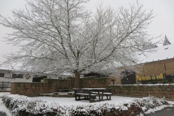 2016 Stavba chlívku - přístřeší s výběhem pro chov domácích zvířat (dokončeno 9.12. 2016) - umístění kamenů do výběhu