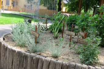 2018 Smyslový park - před otevřením (2.6.)