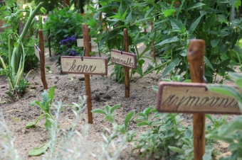 2018 Smyslový park - před otevřením (2.6.)