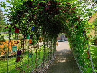 2021 Smyslový park - tunel plný vůně - akébie