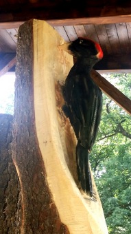 2018 Dřevořezba (2.6.)