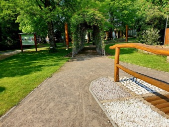 2021 Smyslový park - tunel plný vůně - akébie