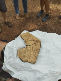 2023 Archeologické léto - prohlídka hradu Žampach (20.7.)