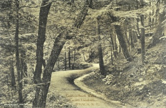 PŘEDNÁŠKOVÉ TURNÉ Františka Lützowa USA, 1912 (scan kroniky)